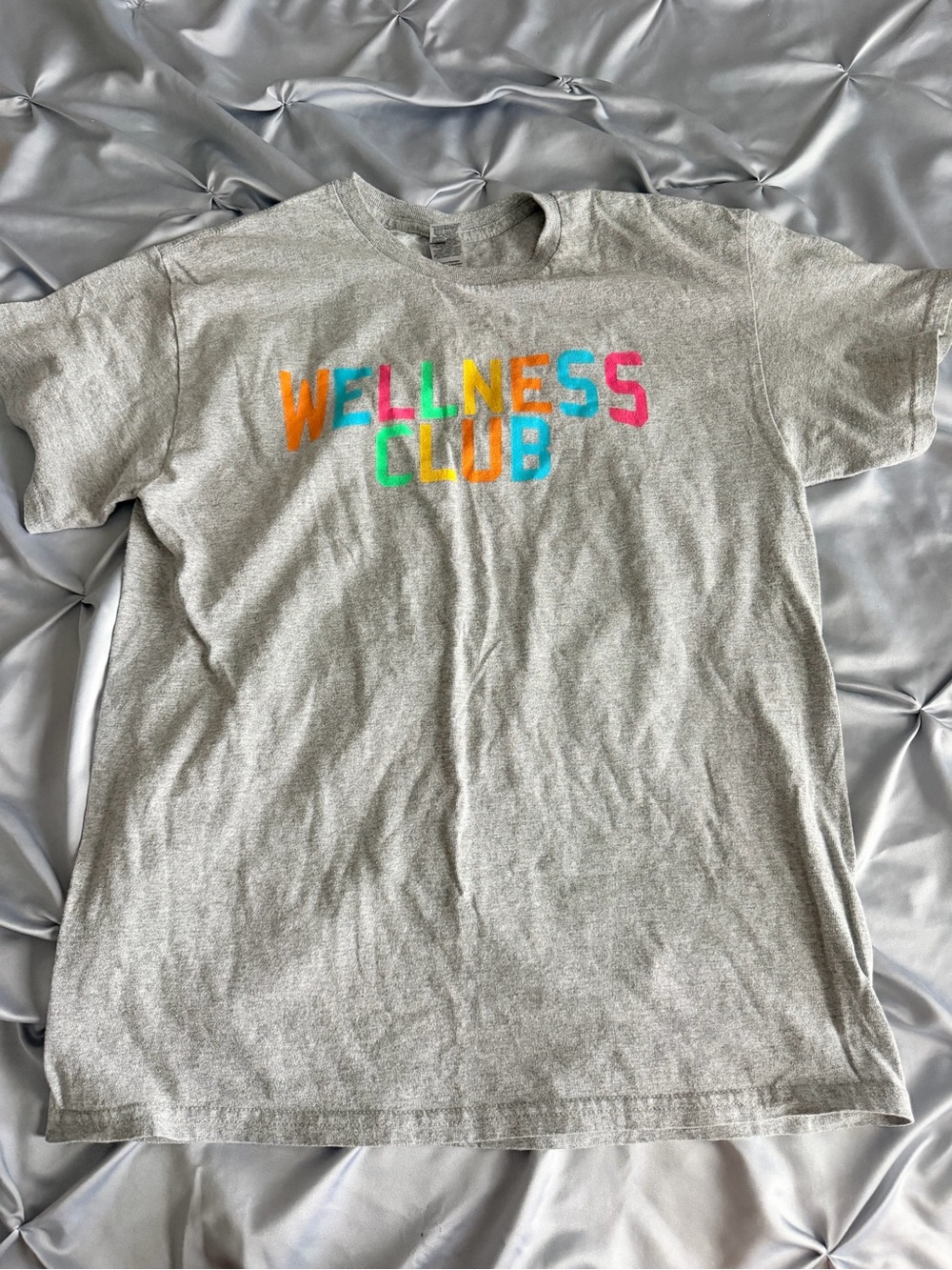Gildan Heather Gray Tee with Bright Multicolor 'WELLNESS CLUB' Print